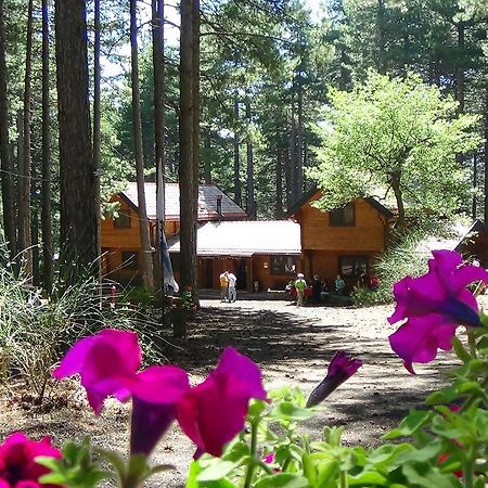 Chalet Clan Dei Ragazzi Hotel Linguaglossa Kültér fotó